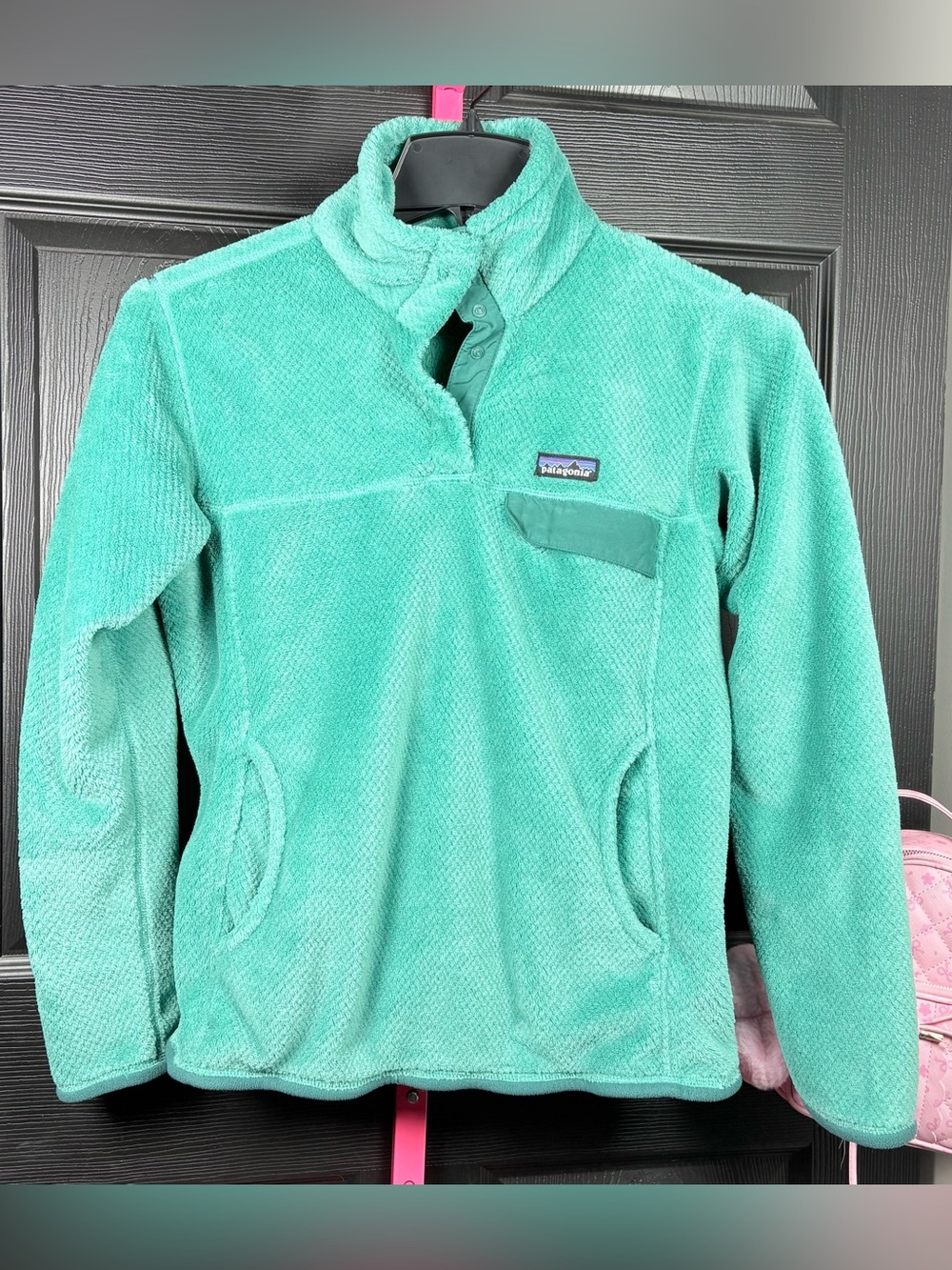 Patagonia Teal Plush Snap-button Fleece Pullover